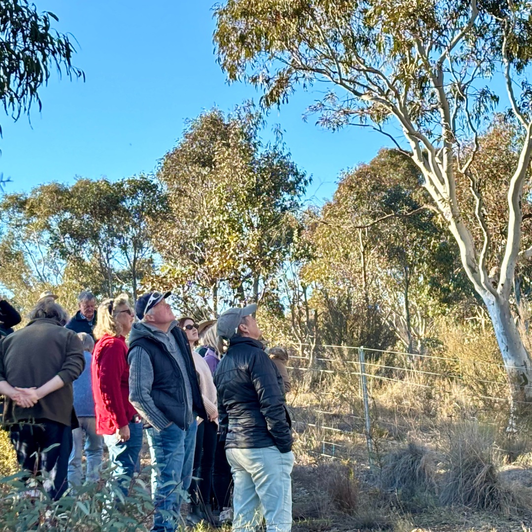 Supporting Our Local Birdlife: Highlights from the Bird Life Pest and Threats Workshop