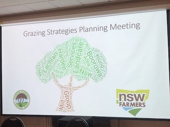 Bowning Bookham Landcare | Grazing Group Gather Across the Region