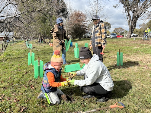 240728 NationalTreeDay 18