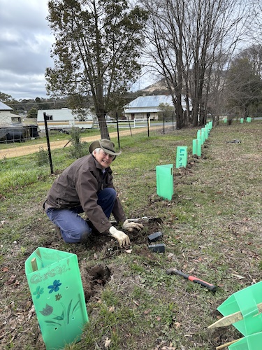 240728 NationalTreeDay 19