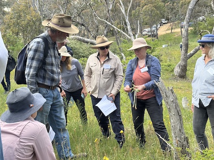 251117 BelowOurKnees NativeGrassland 4270
