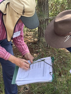 251117 BelowOurKnees NativeGrassland 4275