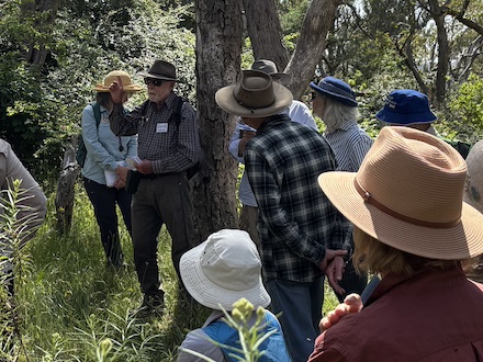 251117 BelowOurKnees NativeGrassland 4283