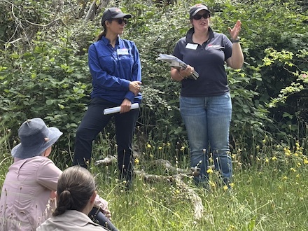 251117 BelowOurKnees NativeGrassland 4286