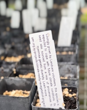 BBLG Nursery Morniing tea 260222 4091 2