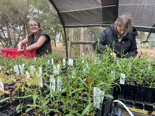BBLG Nursery Morning Tea 260222 5639