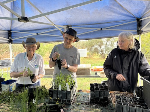 BBLG Nursery Morning Tea 260222 5643