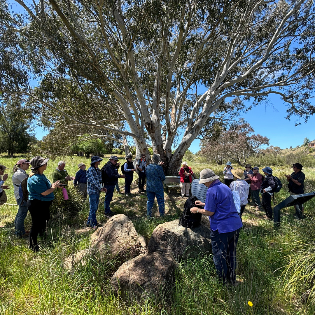 A Bird in the Hand, Data in the App: Citizen Science Workshop