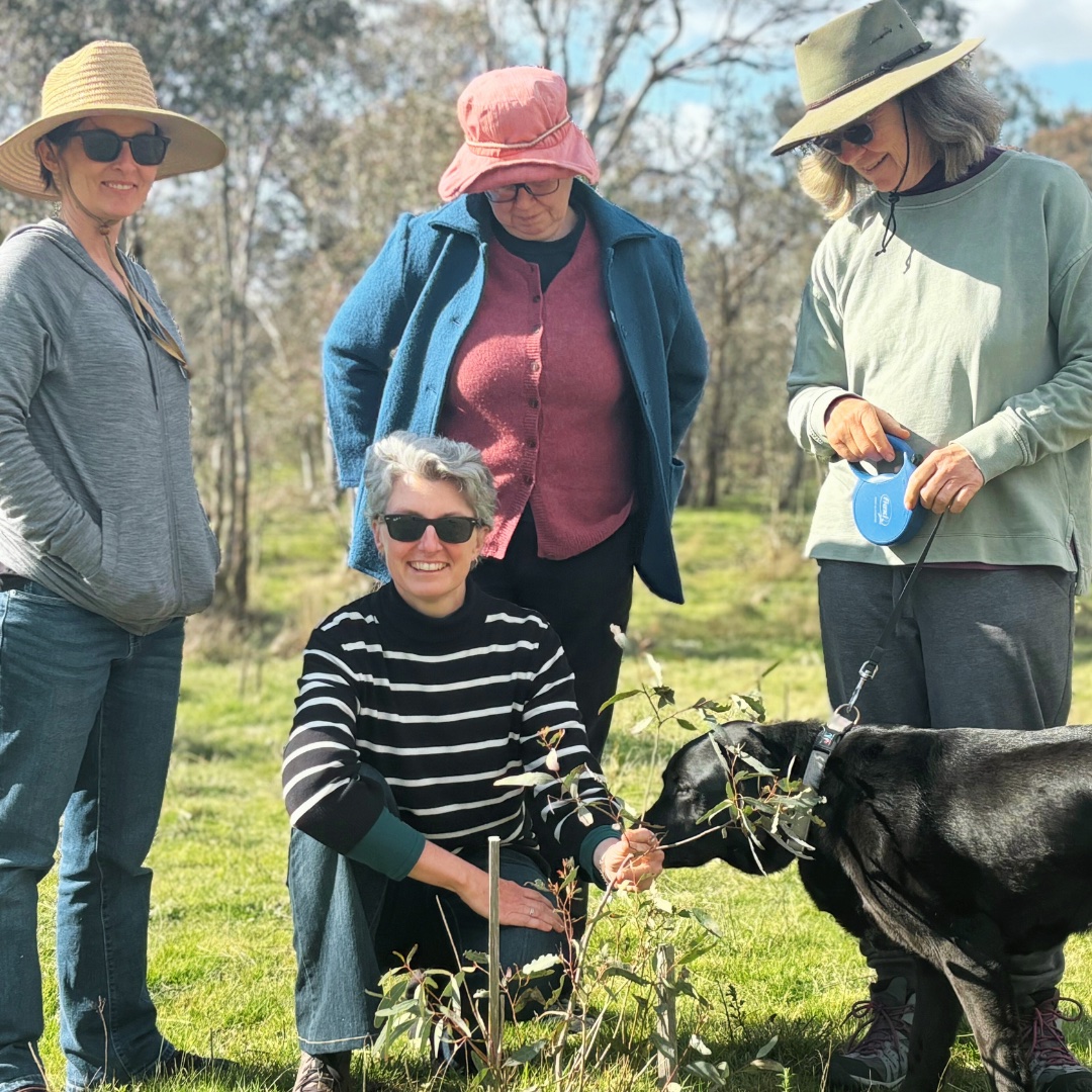 Climate Ready Revegetation Team: Preparing for a Changing Future