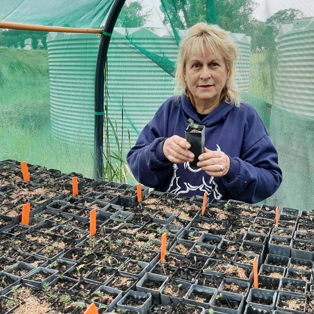 Judy and Graeme’s Valued Nursery Contribution