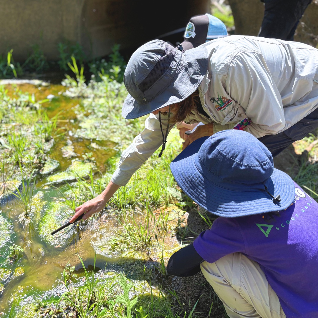 Children Leap into Learning at Yass Landcare Frogwatch Habitat Hunt