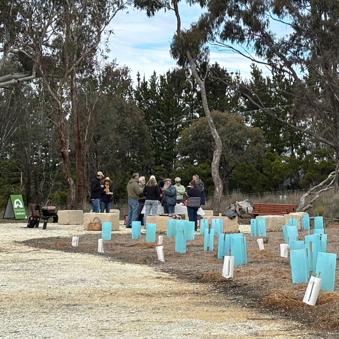 Coming Together at the Landcare Mini Muster