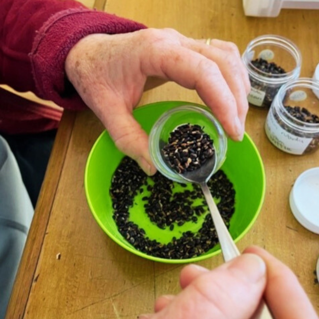 Climate Ready Seed Sorting Day