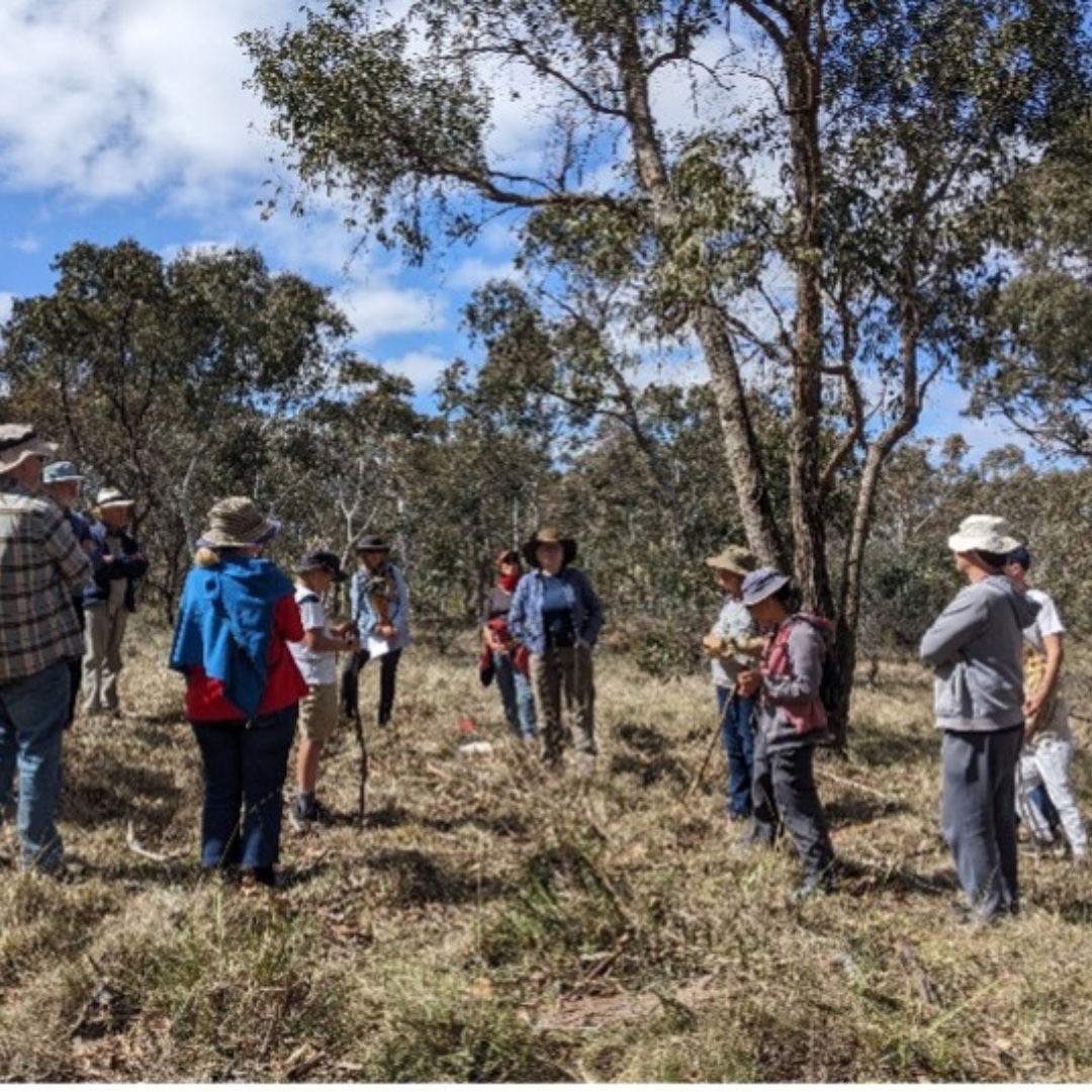 Sutton Landcare: Eucalypt walk at Sutton Village Reserve