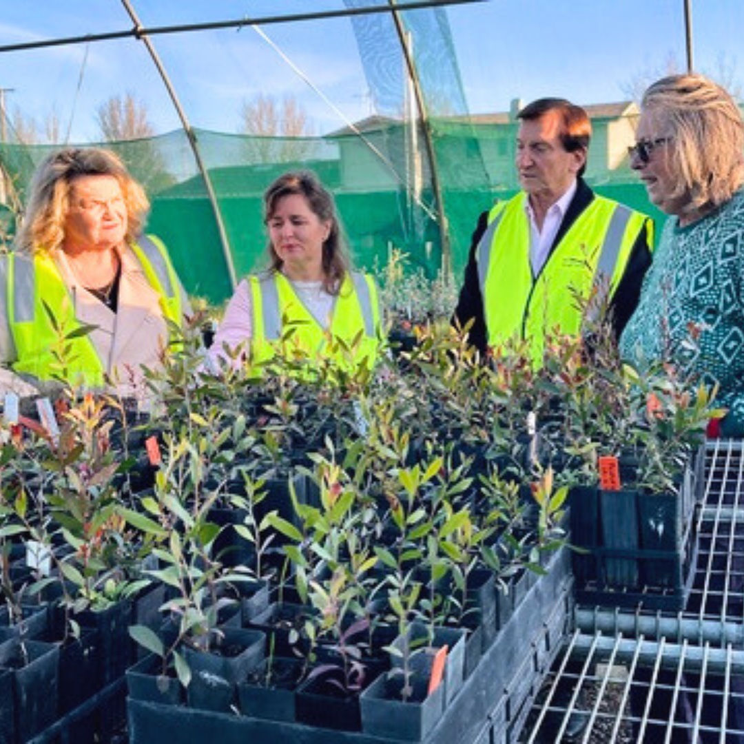 Reliable Water for a Greener Yass: Yass Landcare Nursery Gets Town Water Access