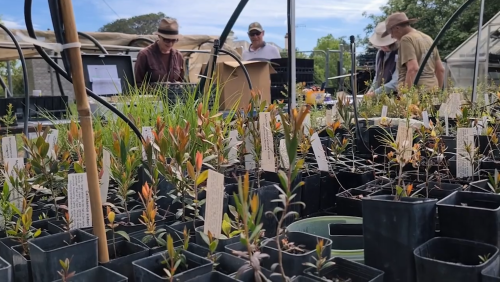 CRR Video MLG nursery smaller