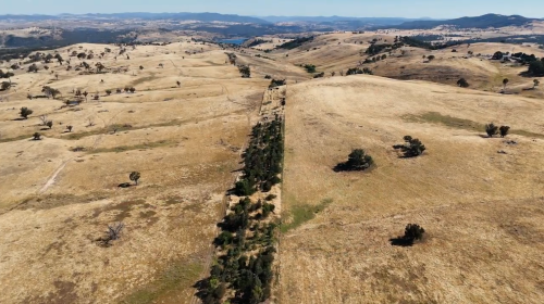 CRR Video Wattle Valley smaller