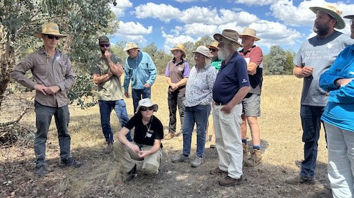 DirectSeeding 260220 5609