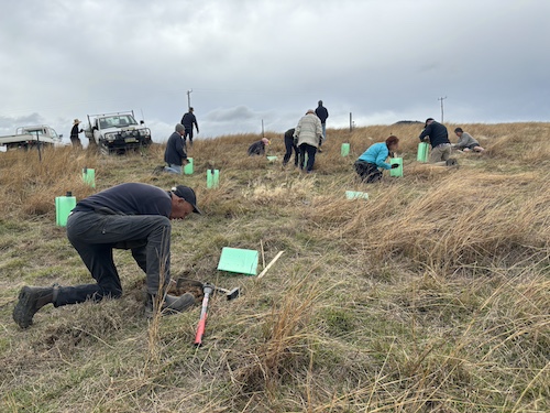 GlendalePlanting 5