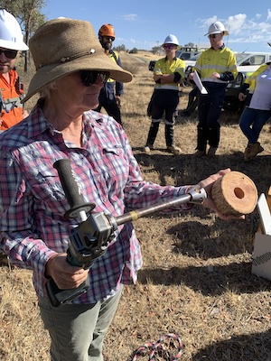 HollowHog 260208 8951