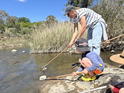 Waterbug Hunt 11