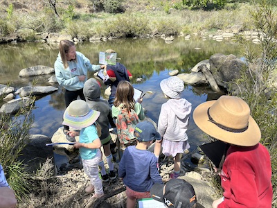 Waterbug Hunt 19