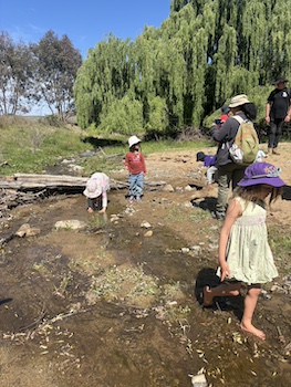 YLG Childrens Frogwatch 251019 3668