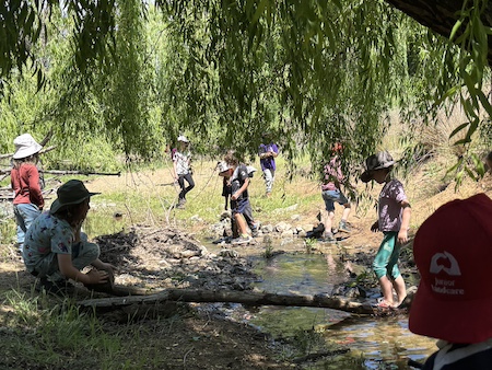 YLG Childrens Frogwatch 251019 3718