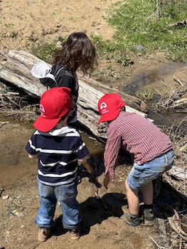 YLG Childrens Frogwatch 251019 3722