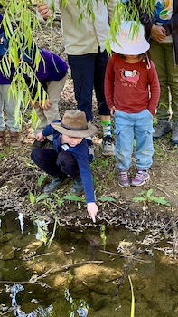 YLG Childrens Frogwatch 251019 6443