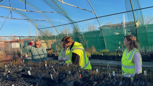 YLG Nursery water 3
